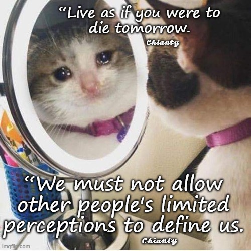 Live | “Live as if you were to
 die tomorrow. 𝓒𝓱𝓲𝓪𝓷𝓽𝔂; “We must not allow other people's limited perceptions to define us. 𝓒𝓱𝓲𝓪𝓷𝓽𝔂 | image tagged in perception | made w/ Imgflip meme maker