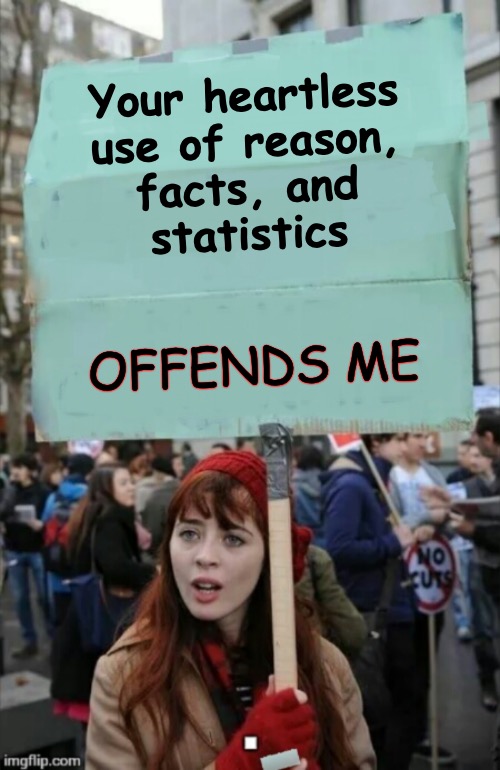Don't invalidate my feelings | Your heartless
use of reason,
facts, and
statistics; OFFENDS ME | image tagged in protestor,civil dialog,hurt feelings,facts | made w/ Imgflip meme maker