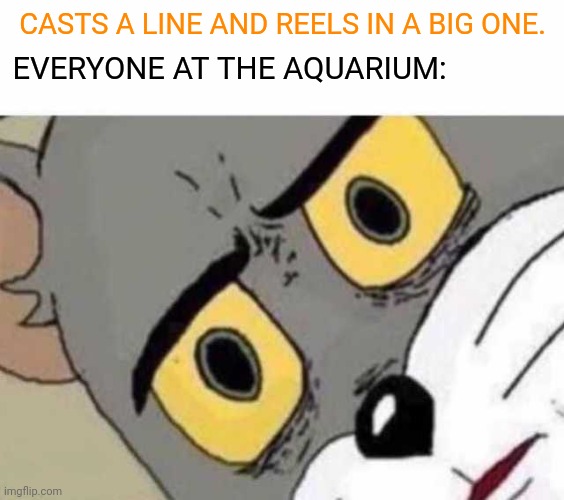 Dinner time | CASTS A LINE AND REELS IN A BIG ONE. EVERYONE AT THE AQUARIUM: | image tagged in tom cat unsettled close up | made w/ Imgflip meme maker