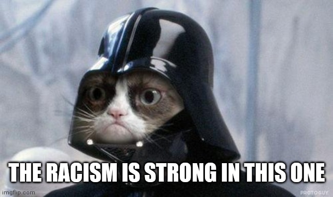 Grumpy Cat Star Wars Meme | THE RACISM IS STRONG IN THIS ONE | image tagged in memes,grumpy cat star wars,grumpy cat | made w/ Imgflip meme maker