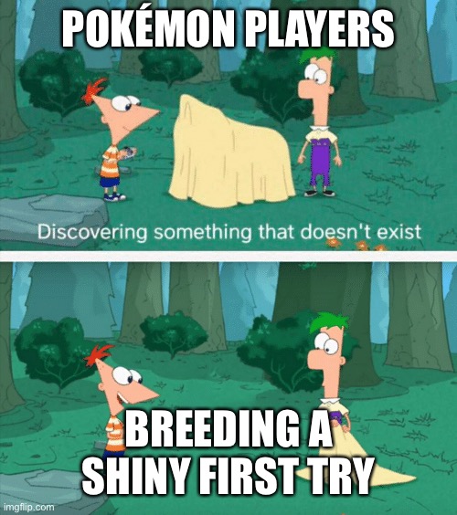 Discovering something that doesn't exist | POKÉMON PLAYERS; BREEDING A SHINY FIRST TRY | image tagged in discovering something that doesn't exist | made w/ Imgflip meme maker