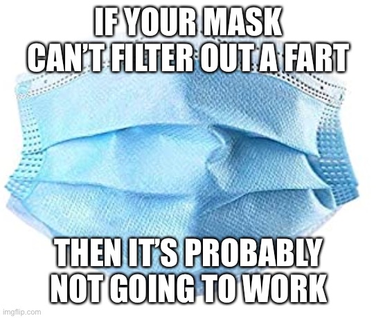 Masks | IF YOUR MASK CAN’T FILTER OUT A FART; THEN IT’S PROBABLY NOT GOING TO WORK | image tagged in medical mask | made w/ Imgflip meme maker