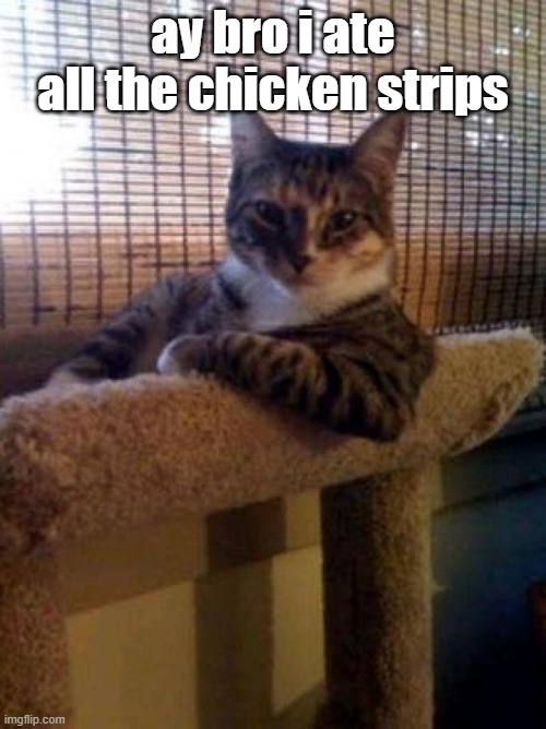 The Most Interesting Cat In The World Meme | ay bro i ate all the chicken strips | image tagged in memes,the most interesting cat in the world | made w/ Imgflip meme maker