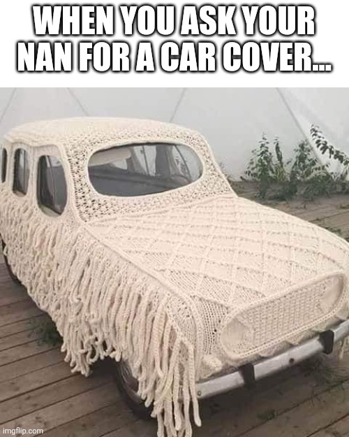 nana's crochet | WHEN YOU ASK YOUR NAN FOR A CAR COVER... | image tagged in funny memes,fun,grandma,cars | made w/ Imgflip meme maker