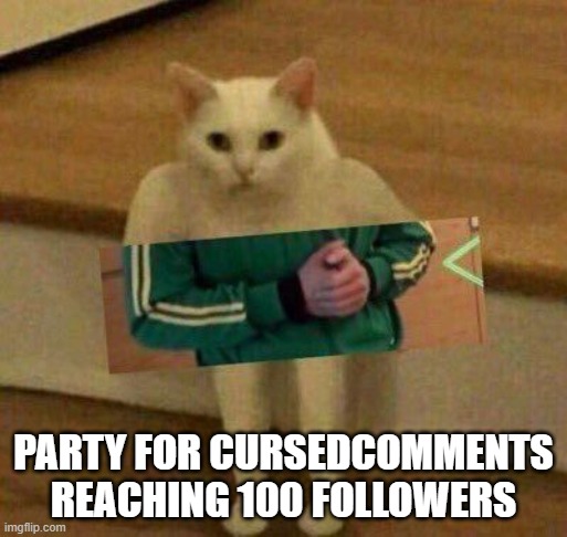 cursedcat | PARTY FOR CURSEDCOMMENTS REACHING 100 FOLLOWERS | image tagged in cursedcat | made w/ Imgflip meme maker