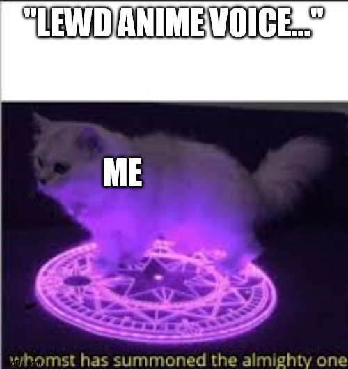 Whomst has Summoned the almighty one | "LEWD ANIME VOICE..." ME | image tagged in whomst has summoned the almighty one | made w/ Imgflip meme maker