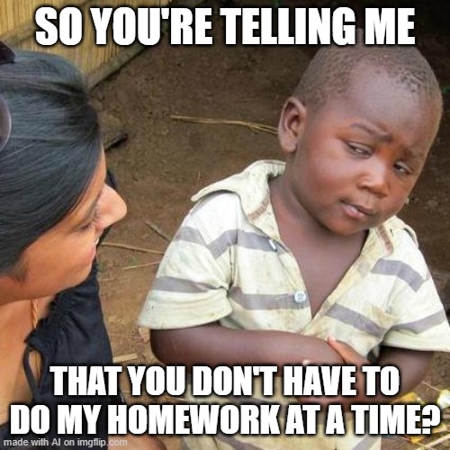 Third World Skeptical Kid | SO YOU'RE TELLING ME; THAT YOU DON'T HAVE TO DO MY HOMEWORK AT A TIME? | image tagged in memes,third world skeptical kid | made w/ Imgflip meme maker