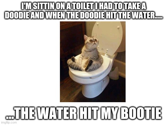 This is a tik tok meme | I'M SITTIN ON A TOILET I HAD TO TAKE A DOODIE AND WHEN THE DOODIE HIT THE WATER..... ...THE WATER HIT MY BOOTIE | image tagged in blank white template | made w/ Imgflip meme maker
