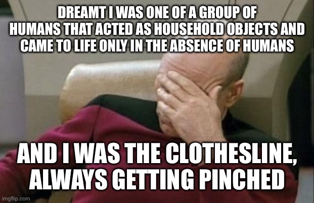 Captain Picard Facepalm | DREAMT I WAS ONE OF A GROUP OF HUMANS THAT ACTED AS HOUSEHOLD OBJECTS AND CAME TO LIFE ONLY IN THE ABSENCE OF HUMANS; AND I WAS THE CLOTHESLINE, ALWAYS GETTING PINCHED | image tagged in memes,captain picard facepalm | made w/ Imgflip meme maker