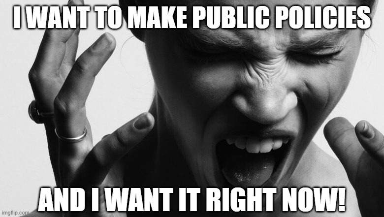 Liberals...what a bunch of brats. | I WANT TO MAKE PUBLIC POLICIES; AND I WANT IT RIGHT NOW! | image tagged in liberals,memes | made w/ Imgflip meme maker