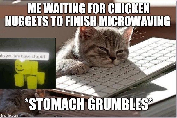 Bored Keyboard Cat | ME WAITING FOR CHICKEN NUGGETS TO FINISH MICROWAVING; *STOMACH GRUMBLES* | image tagged in bored keyboard cat | made w/ Imgflip meme maker