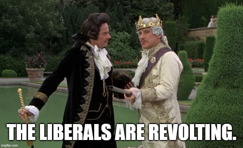 They stink on ice. | THE LIBERALS ARE REVOLTING. | image tagged in liberals,memes | made w/ Imgflip meme maker