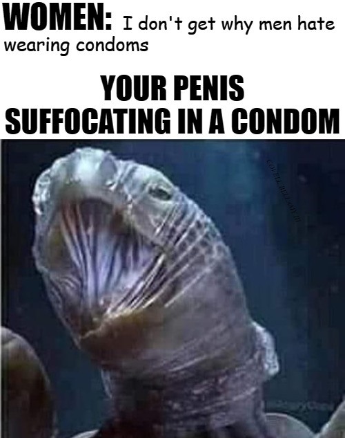 Penis Suffocating In A Condom Blank Meme Template