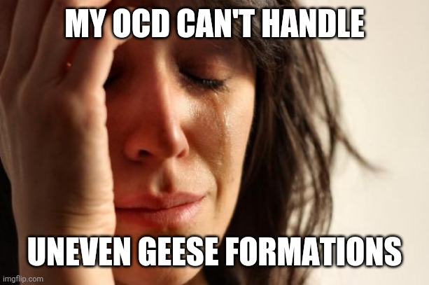 First World Problems Meme | MY OCD CAN'T HANDLE UNEVEN GEESE FORMATIONS | image tagged in memes,first world problems | made w/ Imgflip meme maker