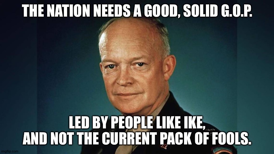 Dwight Eisenhower | THE NATION NEEDS A GOOD, SOLID G.O.P. LED BY PEOPLE LIKE IKE,
AND NOT THE CURRENT PACK OF FOOLS. | image tagged in dwight eisenhower | made w/ Imgflip meme maker