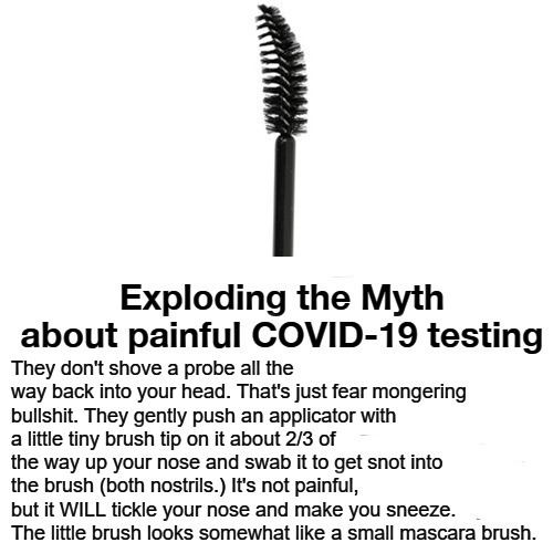 Exploding the MYTH about painful COVID-19 testing | image tagged in covid 19,swab test,coronavirus,covid testing,exploding head,mythbusters | made w/ Imgflip meme maker