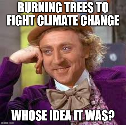 BURNING TREES TO FIGHT CLIMATE CHANGE | BURNING TREES TO FIGHT CLIMATE CHANGE; WHOSE IDEA IT WAS? | image tagged in gene wilder | made w/ Imgflip meme maker