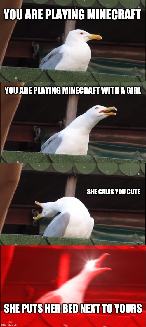 Inhaling Seagull | YOU ARE PLAYING MINECRAFT; YOU ARE PLAYING MINECRAFT WITH A GIRL; SHE CALLS YOU CUTE; SHE PUTS HER BED NEXT TO YOURS | image tagged in memes,inhaling seagull | made w/ Imgflip meme maker