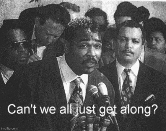 Can we? | image tagged in rodney king,can we get along | made w/ Imgflip meme maker