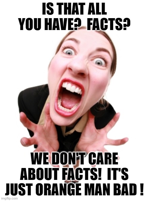 Screaming woman | IS THAT ALL YOU HAVE?  FACTS? WE DON'T CARE ABOUT FACTS!  IT'S JUST ORANGE MAN BAD ! | image tagged in screaming woman | made w/ Imgflip meme maker