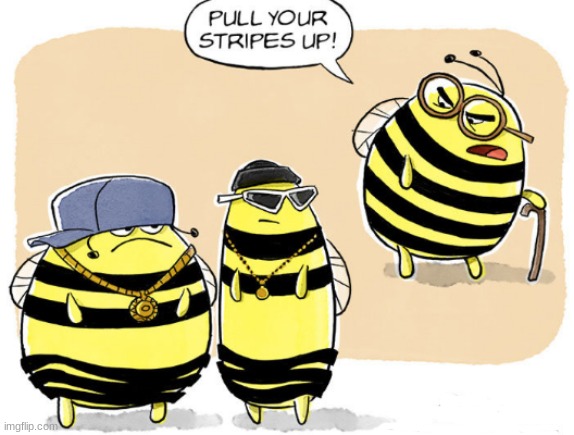 Pull your stripes up! | image tagged in memes,comics,bees,pull your stripes up,funny | made w/ Imgflip meme maker
