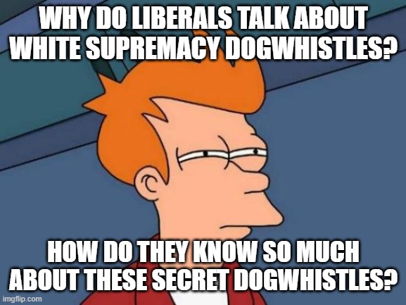 Futurama Fry | WHY DO LIBERALS TALK ABOUT WHITE SUPREMACY DOGWHISTLES? HOW DO THEY KNOW SO MUCH ABOUT THESE SECRET DOGWHISTLES? | image tagged in memes,futurama fry | made w/ Imgflip meme maker