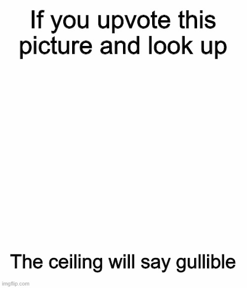 Got em | If you upvote this picture and look up; The ceiling will say gullible | image tagged in funny,fun | made w/ Imgflip meme maker