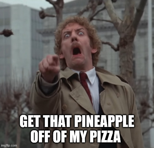 Invasion of the Body Snatchers | GET THAT PINEAPPLE OFF OF MY PIZZA | image tagged in invasion of the body snatchers | made w/ Imgflip meme maker