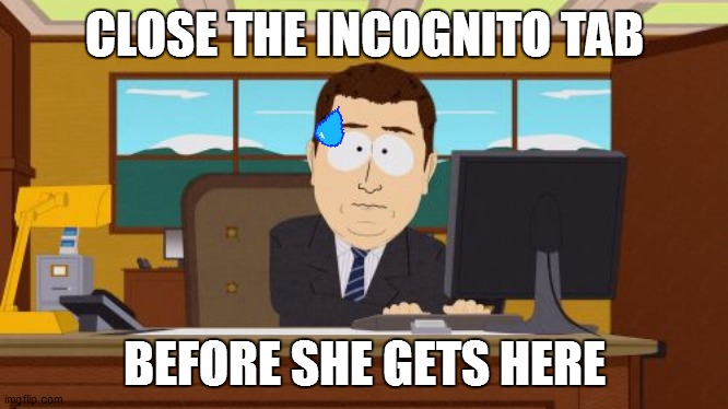 when mom walks up to your pc | CLOSE THE INCOGNITO TAB; BEFORE SHE GETS HERE | image tagged in memes,aaaaand its gone | made w/ Imgflip meme maker