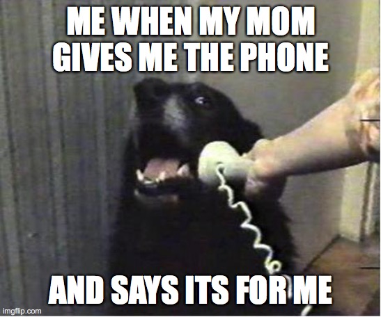 Yes this is dog | ME WHEN MY MOM GIVES ME THE PHONE; AND SAYS ITS FOR ME | image tagged in yes this is dog | made w/ Imgflip meme maker