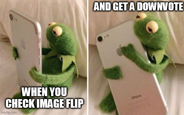 downvote | AND GET A DOWNVOTE; WHEN YOU CHECK IMAGE FLIP | image tagged in kermit hugging phone | made w/ Imgflip meme maker