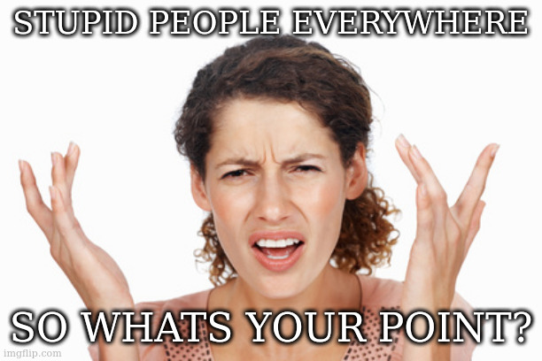 Indignant | STUPID PEOPLE EVERYWHERE SO WHATS YOUR POINT? | image tagged in indignant | made w/ Imgflip meme maker