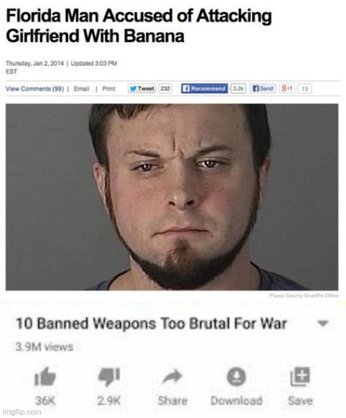 idk, but I find this meme to be appeeling (I'm going to hell for that joke) | image tagged in weapons too brutal for war,memes,funny memes,florida man,strikes again,with banana | made w/ Imgflip meme maker
