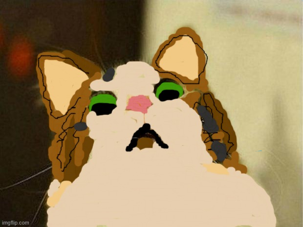 Surprised cat drawling Blank Meme Template
