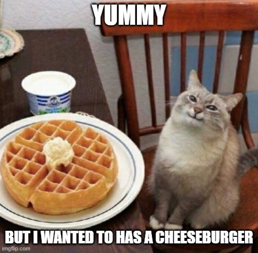 Not what I wanted, but ok | YUMMY; BUT I WANTED TO HAS A CHEESEBURGER | image tagged in cat likes their waffle | made w/ Imgflip meme maker