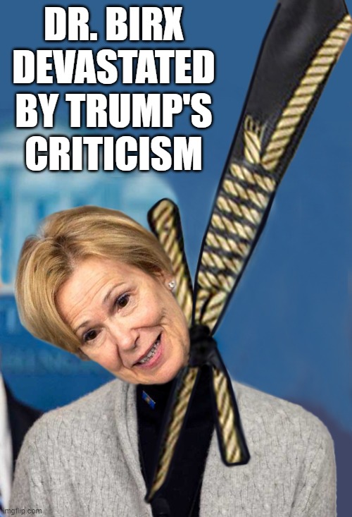 Trump Calls Dr. Birx 'Pathetic' | DR. BIRX DEVASTATED
BY TRUMP'S CRITICISM | image tagged in donald trump is an idiot,deborah birx,scarfs,noose,hanged,coronavirus | made w/ Imgflip meme maker