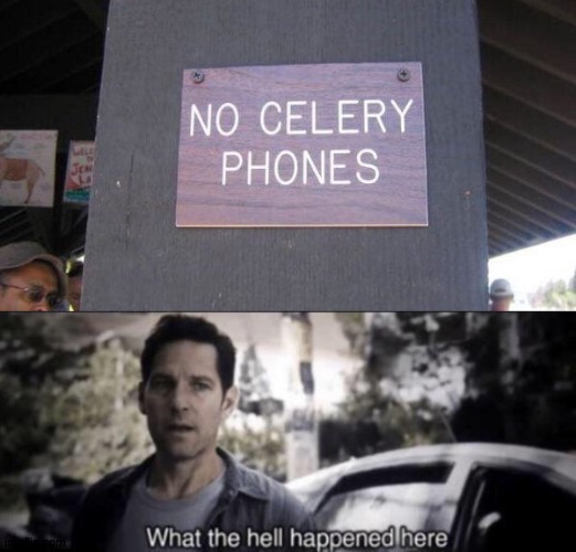 Why no celery phones? | image tagged in what the hell happened here,memes | made w/ Imgflip meme maker