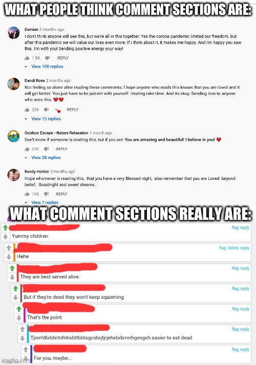 WHAT PEOPLE THINK COMMENT SECTIONS ARE:; WHAT COMMENT SECTIONS REALLY ARE: | made w/ Imgflip meme maker