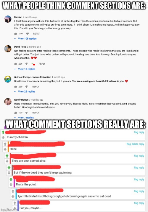 WHAT PEOPLE THINK COMMENT SECTIONS ARE:; WHAT COMMENT SECTIONS REALLY ARE: | made w/ Imgflip meme maker