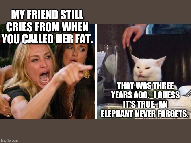 Smudge the cat | MY FRIEND STILL CRIES FROM WHEN YOU CALLED HER FAT. THAT WAS THREE YEARS AGO.   I GUESS IT'S TRUE.  AN ELEPHANT NEVER FORGETS. | image tagged in smudge the cat | made w/ Imgflip meme maker