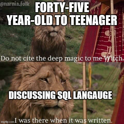 Cybersecurity | FORTY-FIVE YEAR-OLD TO TEENAGER; DISCUSSING SQL LANGAUGE | image tagged in narnia meme | made w/ Imgflip meme maker