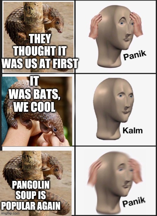 COVID relief | THEY THOUGHT IT WAS US AT FIRST; IT WAS BATS, WE COOL; PANGOLIN SOUP IS POPULAR AGAIN | image tagged in covid-19,bats,meme man,panik kalm panik,coronavirus | made w/ Imgflip meme maker