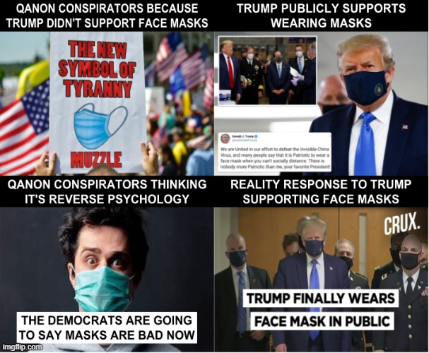 Qanon Funny Meme Face masks | image tagged in face mask,trump,qanon,donald trump | made w/ Imgflip meme maker