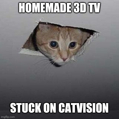 Ceiling Cat Meme | HOMEMADE 3D TV; STUCK ON CATVISION | image tagged in memes,ceiling cat | made w/ Imgflip meme maker