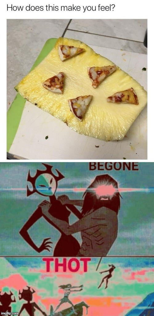 hell no to the no no no | image tagged in begone thot,pineapple pizza,pizza,gross,no,nope | made w/ Imgflip meme maker