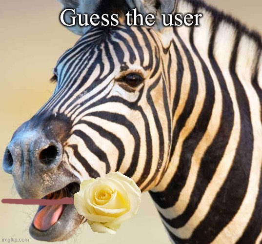 Happy Zebra | Guess the user | image tagged in happy zebra | made w/ Imgflip meme maker