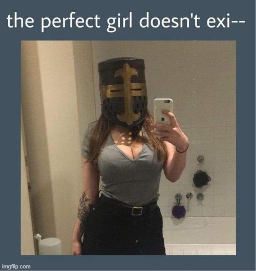 well hey there but tbh I prefer my girls a little less zealous (repost) | image tagged in perfect,perfection,repost,crusader,knight,reposts are awesome | made w/ Imgflip meme maker