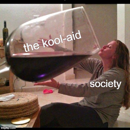 Wine Drinker | society the kool-aid | image tagged in wine drinker | made w/ Imgflip meme maker