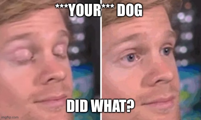White guy blinking | ***YOUR*** DOG DID WHAT? | image tagged in white guy blinking | made w/ Imgflip meme maker