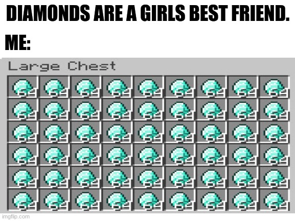 Girls best friend | DIAMONDS ARE A GIRLS BEST FRIEND. ME: | image tagged in minecraft | made w/ Imgflip meme maker
